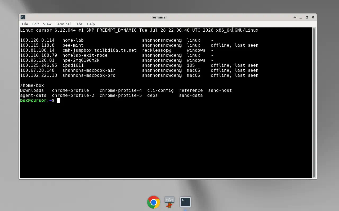 The Grok Bot Linux desktop