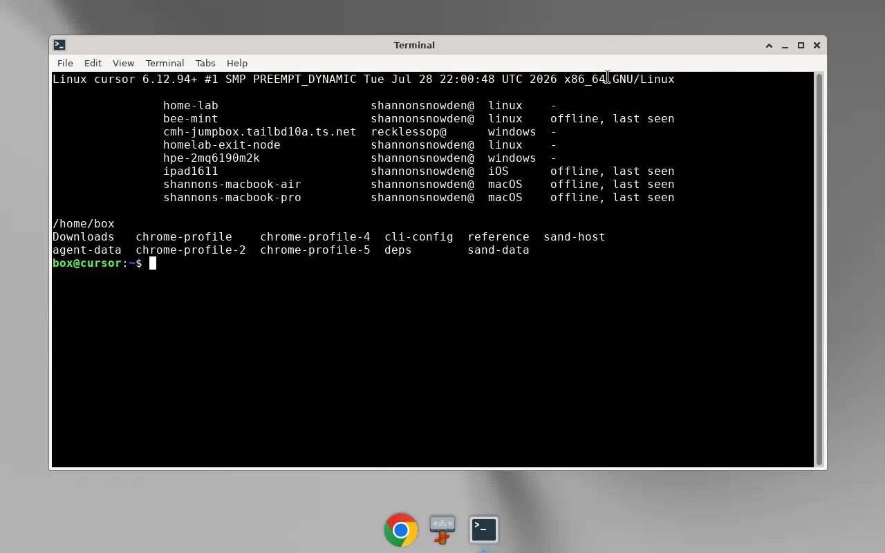 The Grok Bot Linux desktop